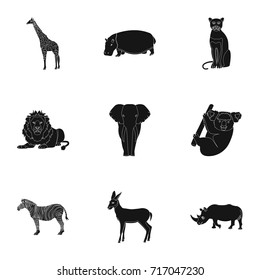 Ostrich emu, crocodile, giraffe, tiger, penguin and other wild animals. Artiodactyla, mammalian predators and animals set collection icons in black style vector symbol stock illustration web.