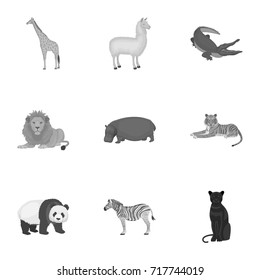 Ostrich emu, crocodile, giraffe, tiger, penguin and other wild animals. Artiodactyla, mammalian predators and animals set collection icons in monochrome style vector symbol stock illustration web.