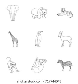 Ostrich emu, crocodile, giraffe, tiger, penguin and other wild animals. Artiodactyla, mammalian predators and animals set collection icons in outline style vector symbol stock illustration web.