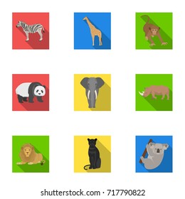 Ostrich emu, crocodile, giraffe, tiger, penguin and other wild animals. Artiodactyla, mammalian predators and animals set collection icons in flat style vector symbol stock illustration web.