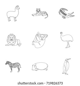 Ostrich emu, crocodile, giraffe, tiger, penguin and other wild animals. Artiodactyla, mammalian predators and animals set collection icons in outline style vector symbol stock illustration web.