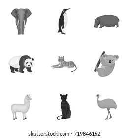 Ostrich emu, crocodile, giraffe, tiger, penguin and other wild animals. Artiodactyla, mammalian predators and animals set collection icons in monochrome style vector symbol stock illustration web.