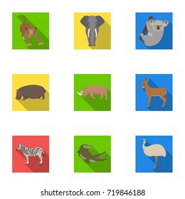 Ostrich emu, crocodile, giraffe, tiger, penguin and other wild animals. Artiodactyla, mammalian predators and animals set collection icons in flat style vector symbol stock illustration web.