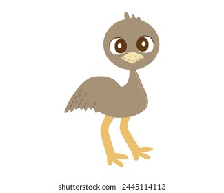 Ostrich Emu flat color vector isolated illustration on white background flat cartoon style for your design.