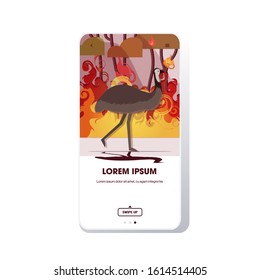 ostrich or emu running from forest fires in australia animals dying in wildfire bushfire burning trees natural disaster concept intense orange flames smartphone screen mobile app copy space vector