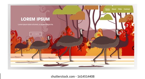 ostrich or emu running from forest fires in australia animals dying in wildfire bushfire burning trees natural disaster concept intense orange flames horizontal copy space vector illustration