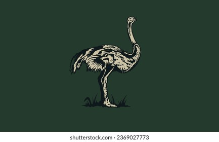 
Ostrich emu vector design isolated on a background.