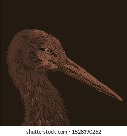 ostrich Expressionism Sketch brown line