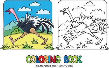 Ostrich. Farm animals coloring book. Children vector illustration. Coloring page of funny bird running on its paws.
