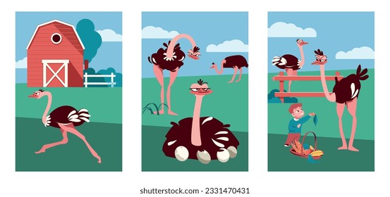 Ostrich farm set of three vertical compositions with flat outdoor views of barns people and birds vector illustration