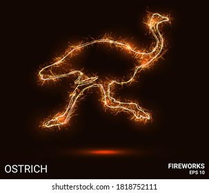 Ostrich fireworks. The ostrich consists of sparks and fire. Festive bright fireworks. Decorative element for celebrations and holidays. Vector illustration.