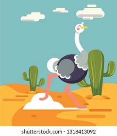 
ostrich flat design character illustration cartoon