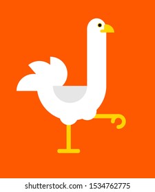 Ostrich flat design nature animal africa neck wild african beak and fauna natural standing safari zoo big feather bird. Vector illustration. Art design