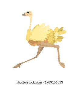 Ostrich flat icon. Colored vector element from birds collection. Creative Ostrich icon for web design, templates and infographics.