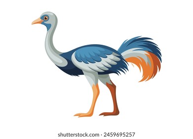 Ostrich flat vector illustration on white background