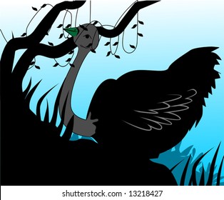  ostrich in a forest	
