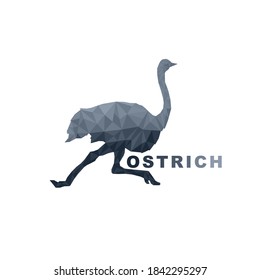 Ostrich Geometric Triangle Logo Icon Design, Ostrich Triangle