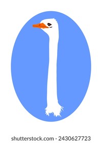 Ostrich had vector illustration isolated on white background. Symbol of biggest bird.