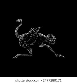 ostrich hand drawing vector isolated on black background.