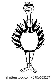 Ostrich. Hand drawn, vector illustration in doodle style. Motives of wildlife and nature, animals and zoo life. Can be used for printing and web design