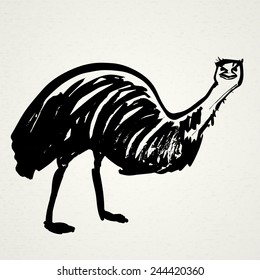 Ostrich hand drawn. Vector illustration. Realistic sketch. Zoo.