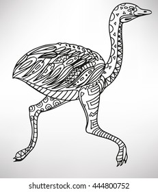 ostrich. Hand-drawn with ethnic pattern. Coloring page - isolated on a white background. Zendoodle patterns. Vector illustration.