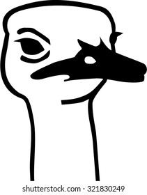 Ostrich head