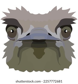 Ostrich head. An illustration of the muzzle of a large bird is depicted. A bright portrait is depicted on a white background. Vector graphics. Animal logo