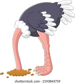 Ostrich Hiding Its Head In The Hole