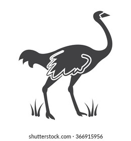 Ostrich icon. 