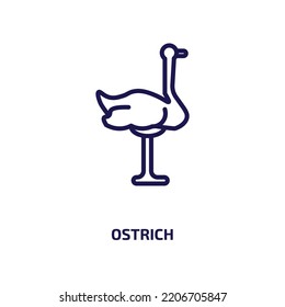 ostrich icon from animals collection. Thin linear ostrich, animal, safari outline icon isolated on white background. Line vector ostrich sign, symbol for web and mobile