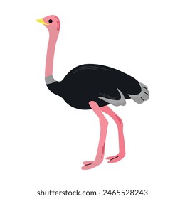 Ostrich icon clipart avatar logotype isolated vector illustration