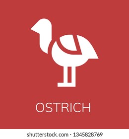  Ostrich icon. Editable  Ostrich icon for web or mobile.