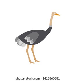Ostrich icon in flat style, african animal vector illustration