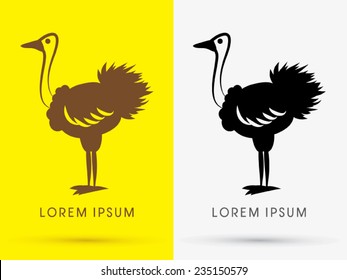 Ostrich icon, graphic, symbol, logo, Vector.