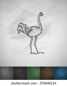 ostrich icon. Hand drawn vector illustration