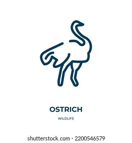 Ostrich icon. Linear vector illustration from wildlife collection. Outline ostrich icon vector. Thin line symbol for use on web and mobile apps, logo, print media.