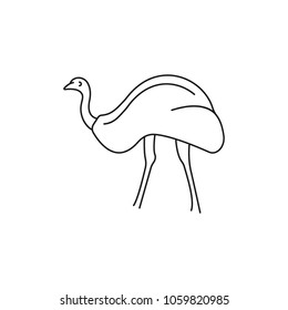 Ostrich icon. Outline ostrich vector icon for web design isolated on white background