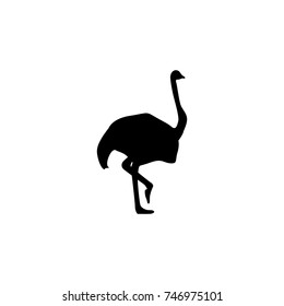 Ostrich icon. Simple illustration of ostrich vector icon for web