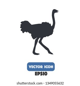 ostrich icon, ostrich vector. eps10