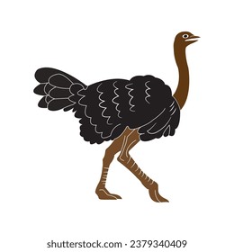 Ostrich icon vector illustration design