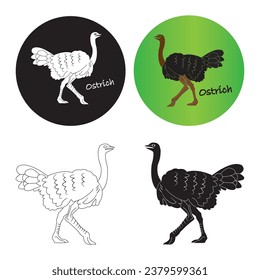 Ostrich icon vector illustration design