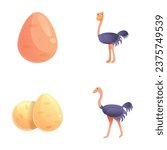 Ostrich icons set cartoon vector. Ostrich bird and big egg. Fauna, largest bird