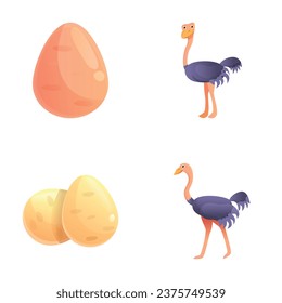 Ostrich icons set cartoon vector. Ostrich bird and big egg. Fauna, largest bird