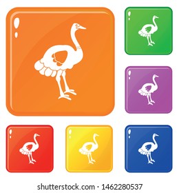 Ostrich icons set collection vector 6 color isolated on white background