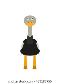 Ostrich illustration as a funny animal character. Wild flightless bird. Small cartoon creature, isolated object in flat design on white background.