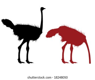 Ostrich Illustration in the sand and out standing up