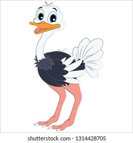 Ostrich isolated on white background - Vector Illustration