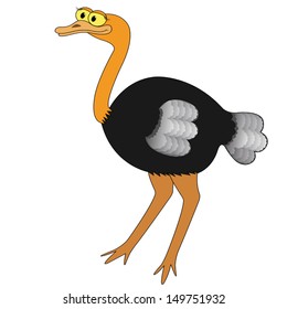 Ostrich isolated on white background. Hand drawing cartoon vector illustration