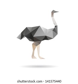 Ostrich isolated on a white backgrounds